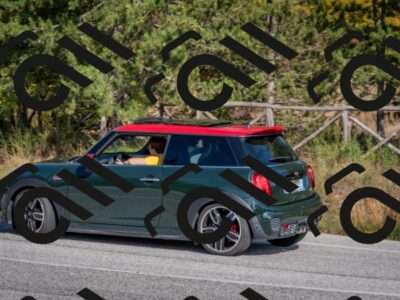 202510191428-DSC_8029_c4_