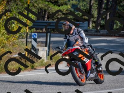 202510191429-DSC_8030_c4_