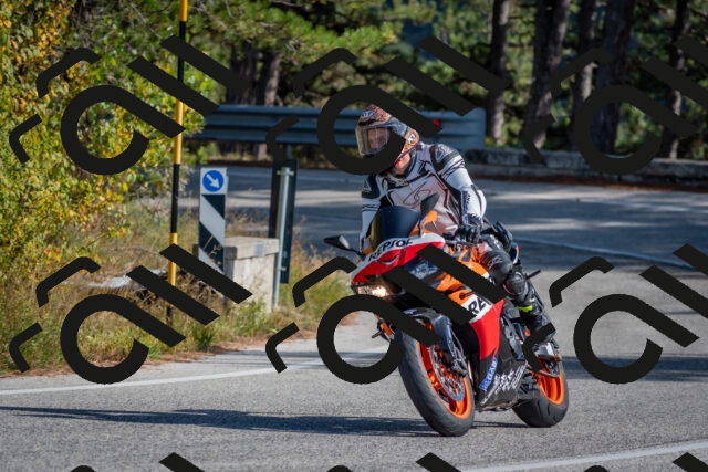 202510191429-DSC_8030_c4_