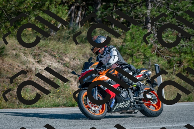 202510191429-DSC_8031_c4_