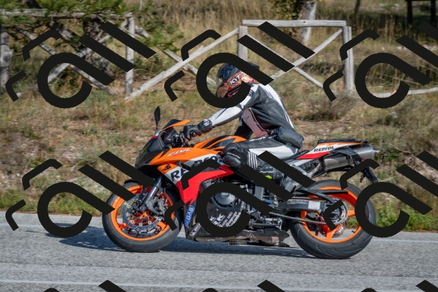 202510191429-DSC_8032_c4_