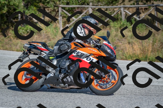 202510191430-DSC_8036_c4_