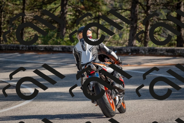 202510191430-DSC_8039_c4_