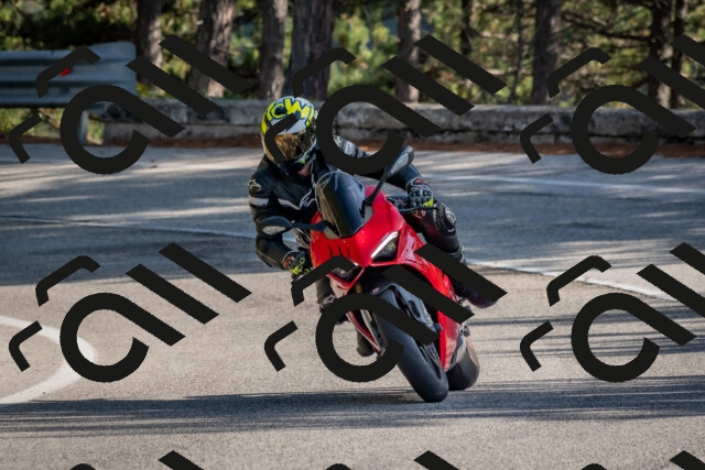 202510191432-DSC_8040_c4_