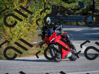 202510191432-DSC_8041_c4_