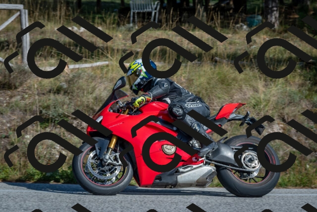 202510191432-DSC_8043_c4_