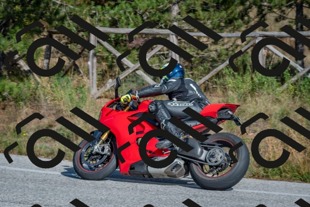 202510191432-DSC_8044_c4_