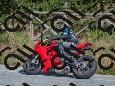 202510191432-DSC_8044_c4_