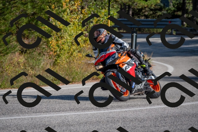 202510191432-DSC_8046_c4_