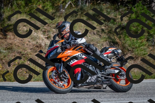 202510191432-DSC_8047_c4_