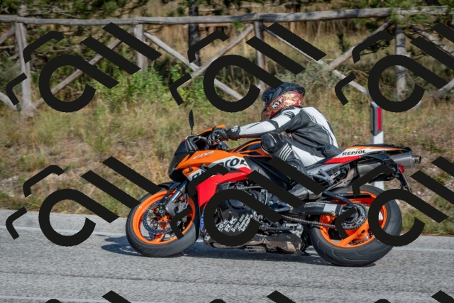 202510191432-DSC_8048_c4_