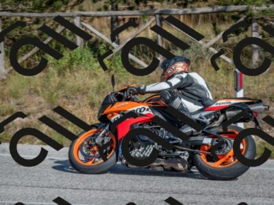 202510191432-DSC_8048_c4_