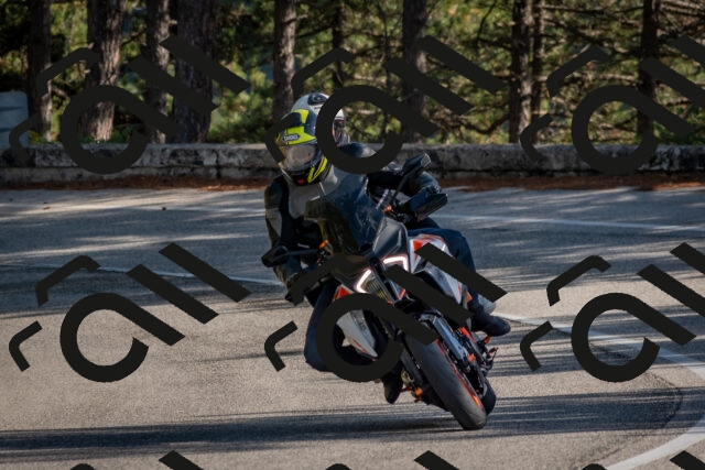 202510191434-DSC_8049_c4_