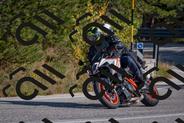 202510191434-DSC_8050_c4_