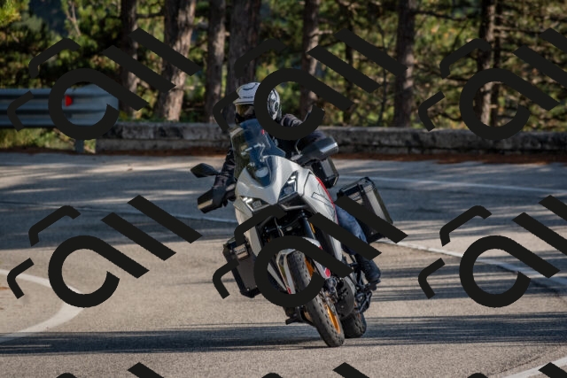 202510191440-DSC_8061_c4_