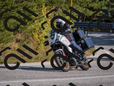 202510191440-DSC_8062_c4_