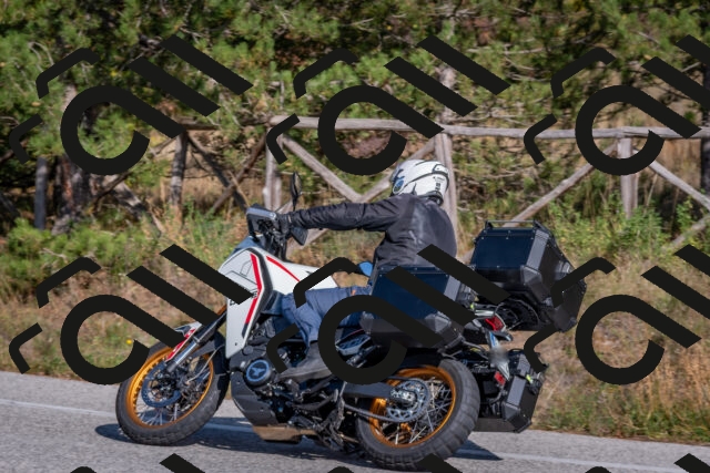 202510191440-DSC_8064_c4_