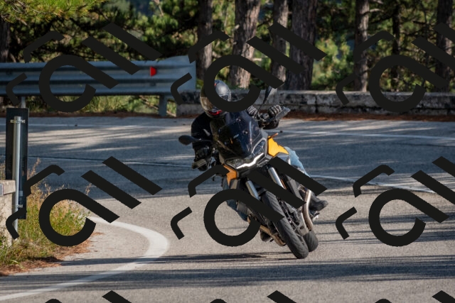 202510191443-DSC_8074_c4_