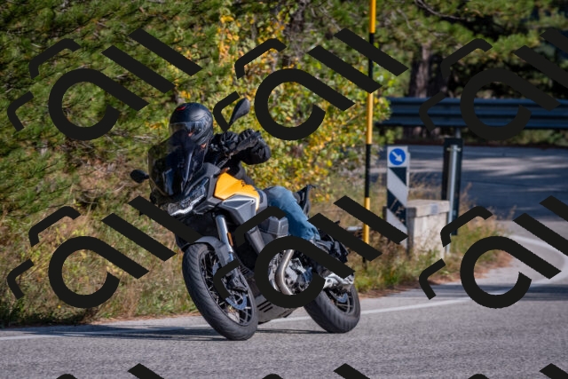 202510191443-DSC_8075_c4_