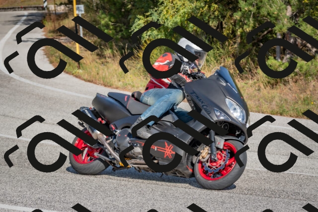 202510191443-DSC_8081_c4_