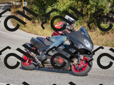 202510191443-DSC_8081_c4_