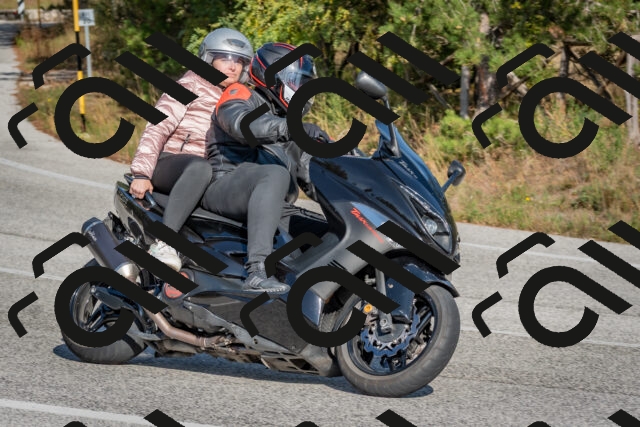 202510191444-DSC_8095_c4_