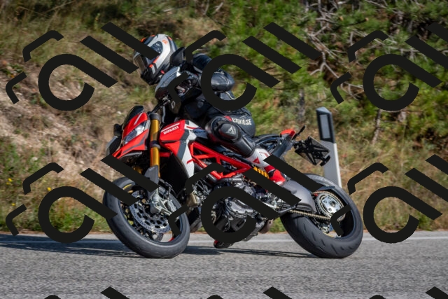 202510191446-DSC_8109_c4_