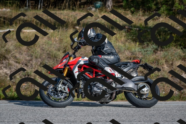 202510191446-DSC_8110_c4_