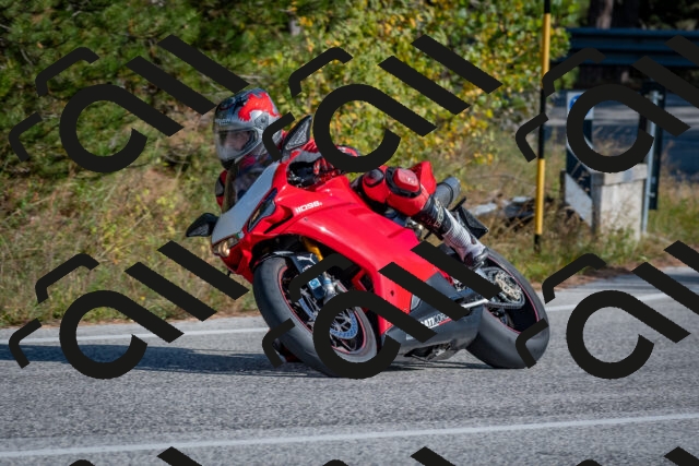 202510191446-DSC_8111_c4_