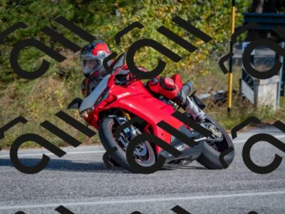 202510191446-DSC_8111_c4_