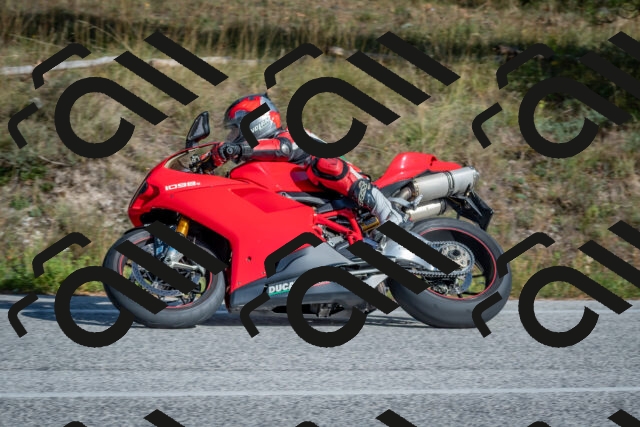 202510191446-DSC_8112_c4_