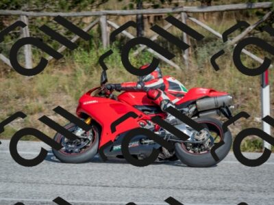 202510191446-DSC_8113_c4_