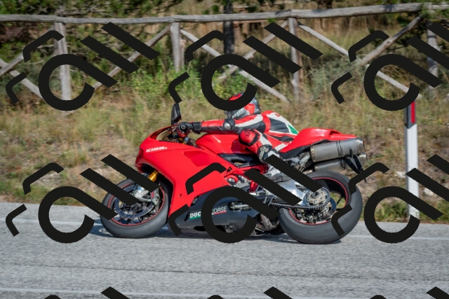 202510191446-DSC_8113_c4_