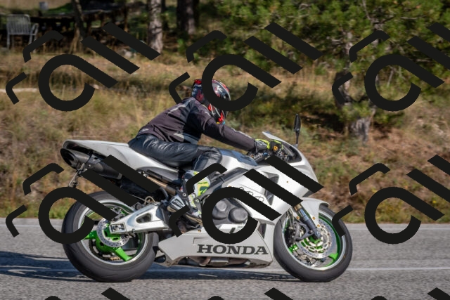 202510191448-DSC_8119_c4_