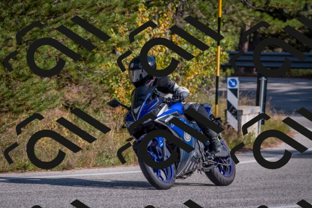 202510191448-DSC_8120_c4_