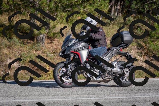 202510191448-DSC_8123_c4_