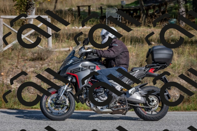 202510191448-DSC_8124_c4_