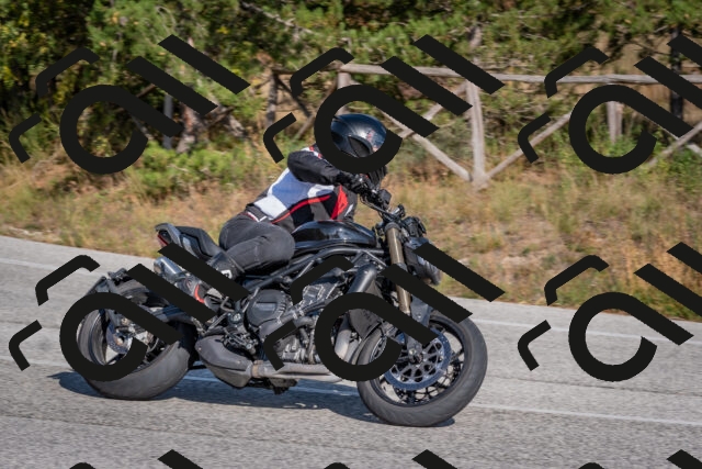 202510191450-DSC_8129_c4_