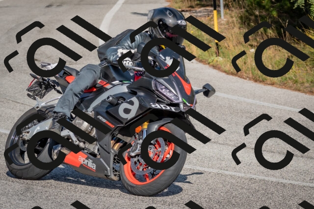 202510191450-DSC_8130_c4_