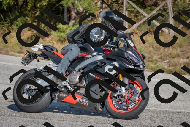 202510191450-DSC_8131_c4_