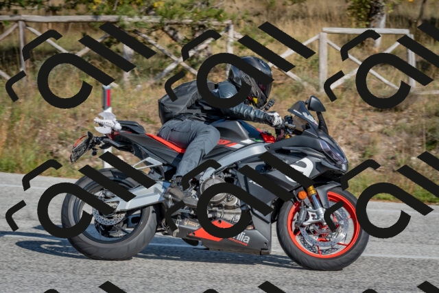 202510191450-DSC_8132_c4_