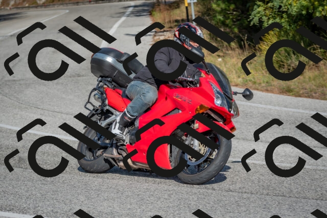 202510191450-DSC_8133_c4_