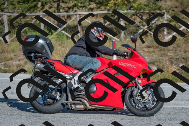 202510191450-DSC_8134_c4_