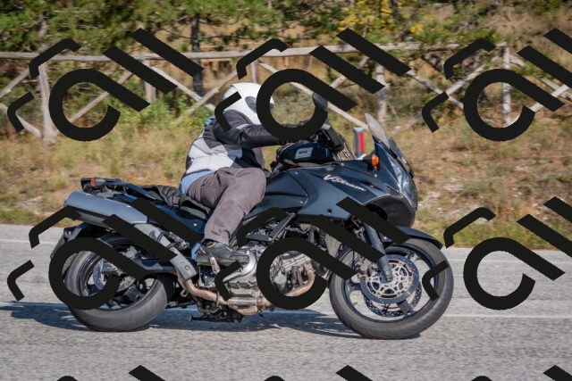 202510191451-DSC_8138_c4_