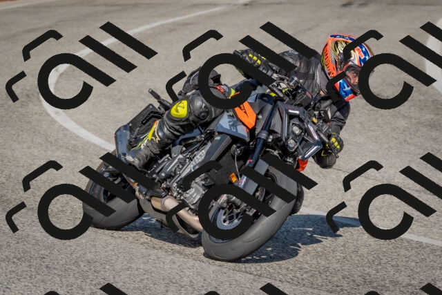 202510191451-DSC_8141_c4_