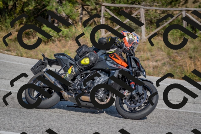 202510191451-DSC_8142_c4_