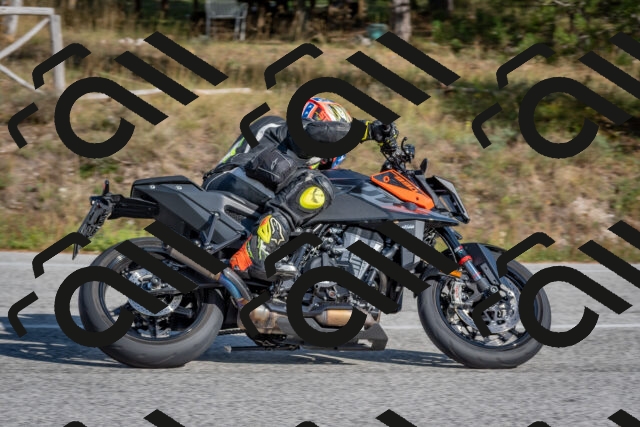 202510191451-DSC_8143_c4_