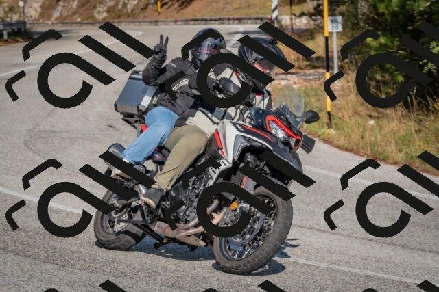 202510191452-DSC_8145_c4_