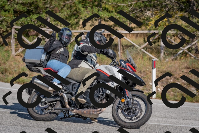 202510191452-DSC_8146_c4_