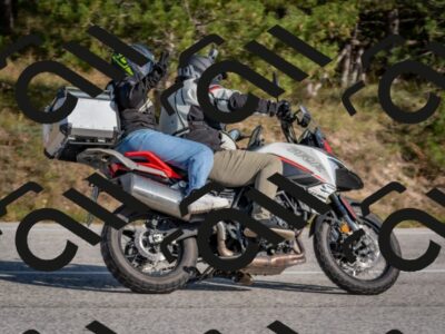 202510191452-DSC_8147_c4_